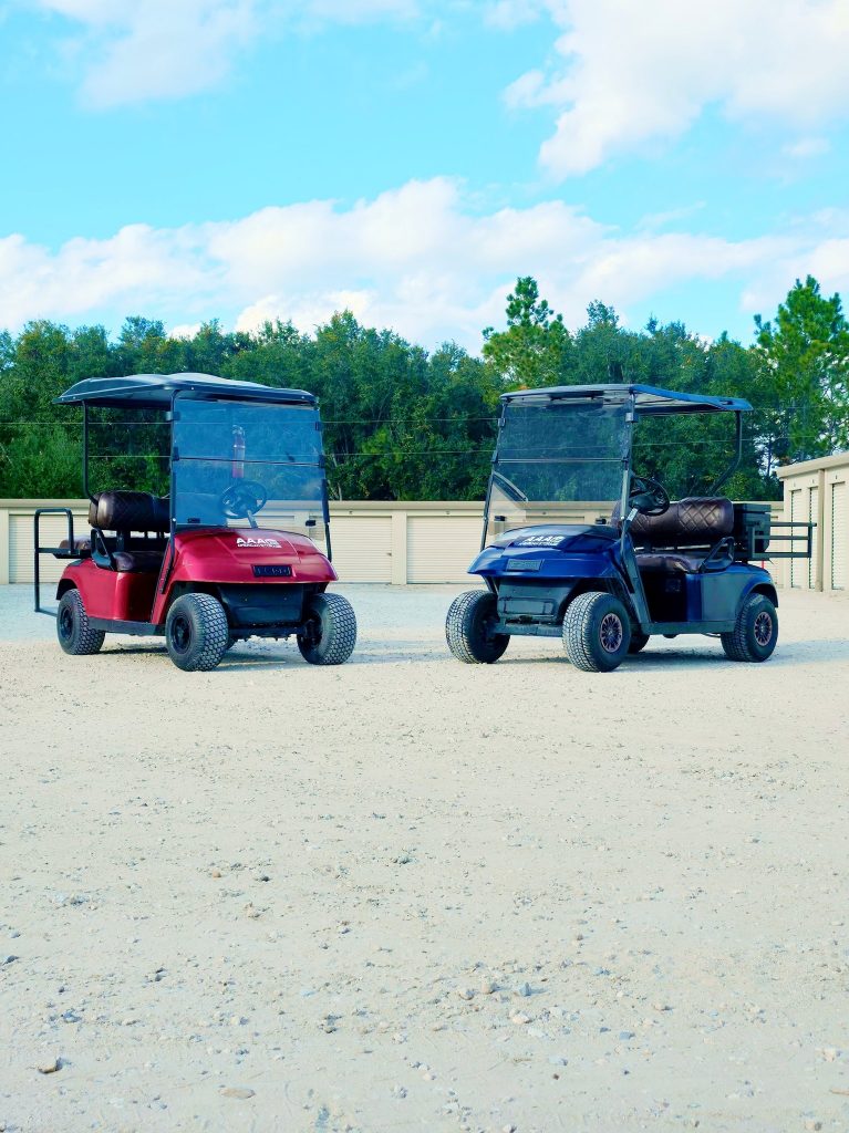 Picture of two clean golf carts one red and one blue